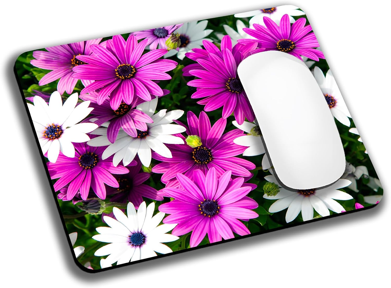 Cute Succulent Plants Mouse Pads for Desk, Portable Wireless Computer Mouse pad Small Design with Women, Non-Slip Rubber Base Laptop Mousepad 9.5" x 7.9" Smooth Surface for Office & Travel - Image 35