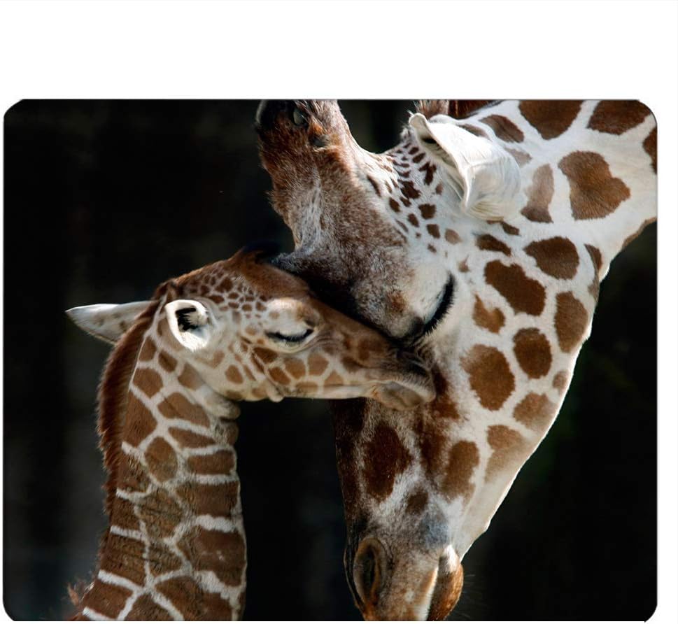 Nicokee Bulldog Gaming Mousepad Little Funny Dog Bulldog Mouse Pad Mouse Mat for Computer Desk Laptop Office 9.5 X 7.9 Inch Non-Slip Rubber - Image 9