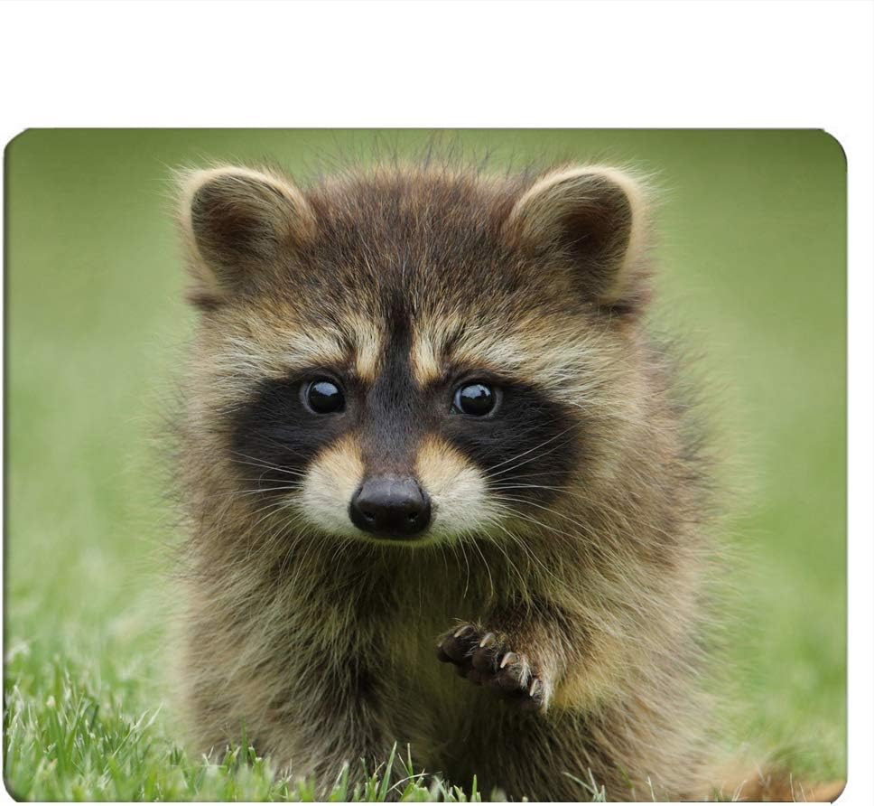 Nicokee Bulldog Gaming Mousepad Little Funny Dog Bulldog Mouse Pad Mouse Mat for Computer Desk Laptop Office 9.5 X 7.9 Inch Non-Slip Rubber - Image 6