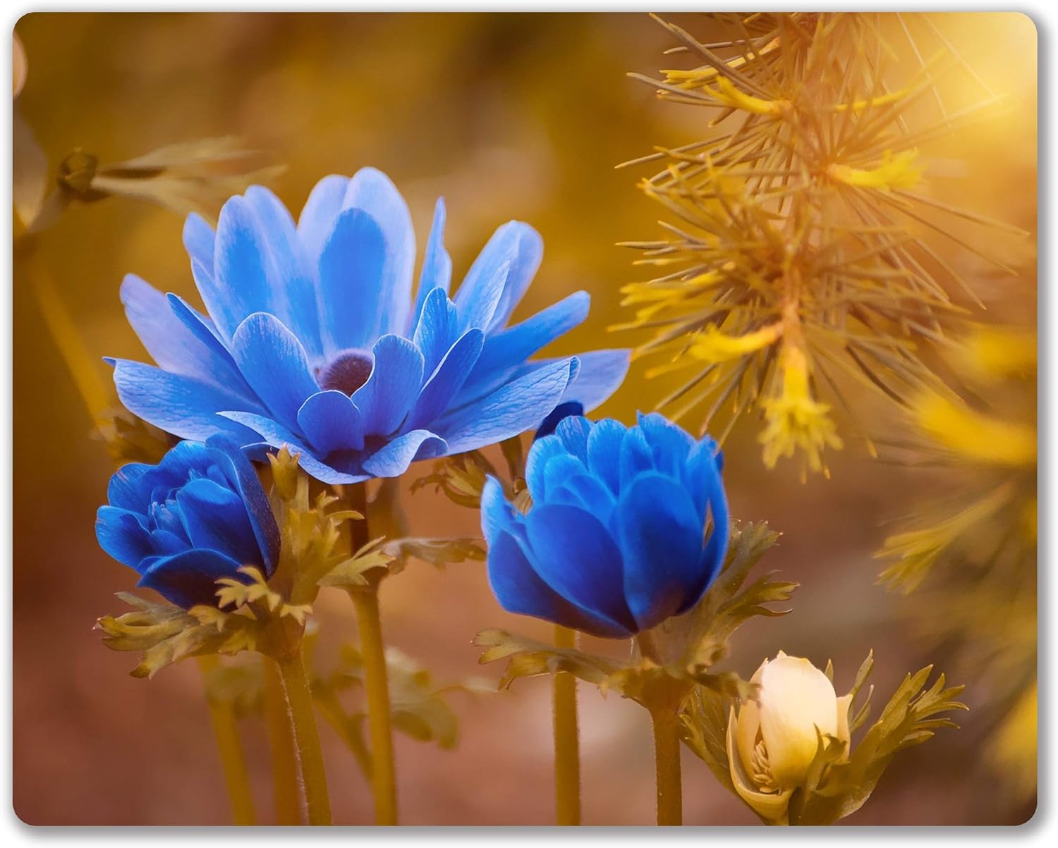 SHALYSONG Sunset Beach Mouse pad with Tropical Ocean Landscape and Non-Slip Rubber Base Design for Personalized Women's Office Desktop Decoration Accessories 9.5x7.9 inch - Image 23